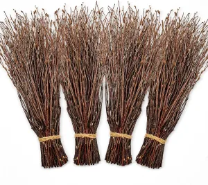 200pcs Birch Twigs 100% Natural Birch Branches for Decorating, DIY Crafts, Flower Arrangement – Decorative Birch Sticks for Vase, Centerpieces, Halloween Broom, Dried Plants Home Decor (17inch)