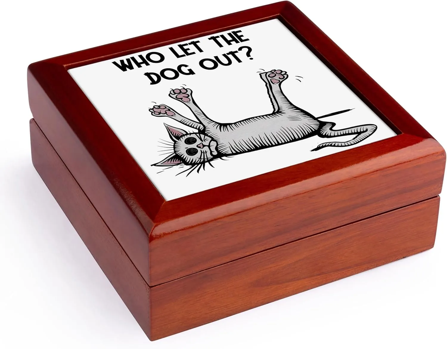 3dRose, Funny Cute Dead Cat Says Who let the Dog Out Satire, Jewelry Box 5.5x5.5 inch with 4 inch tile