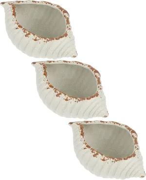 3pcs Conch Succulent Flower Pot Paint Gyro Decorative Supplies Decoration Decorative Meditation Bowl Building Blocks Double Desktop Flower Pot Door Ceramics Beige