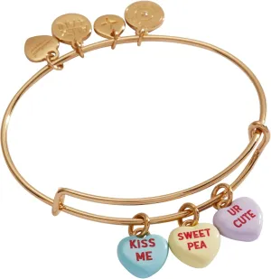 Alex and Ani SweetHearts Multi Charm Jewelry