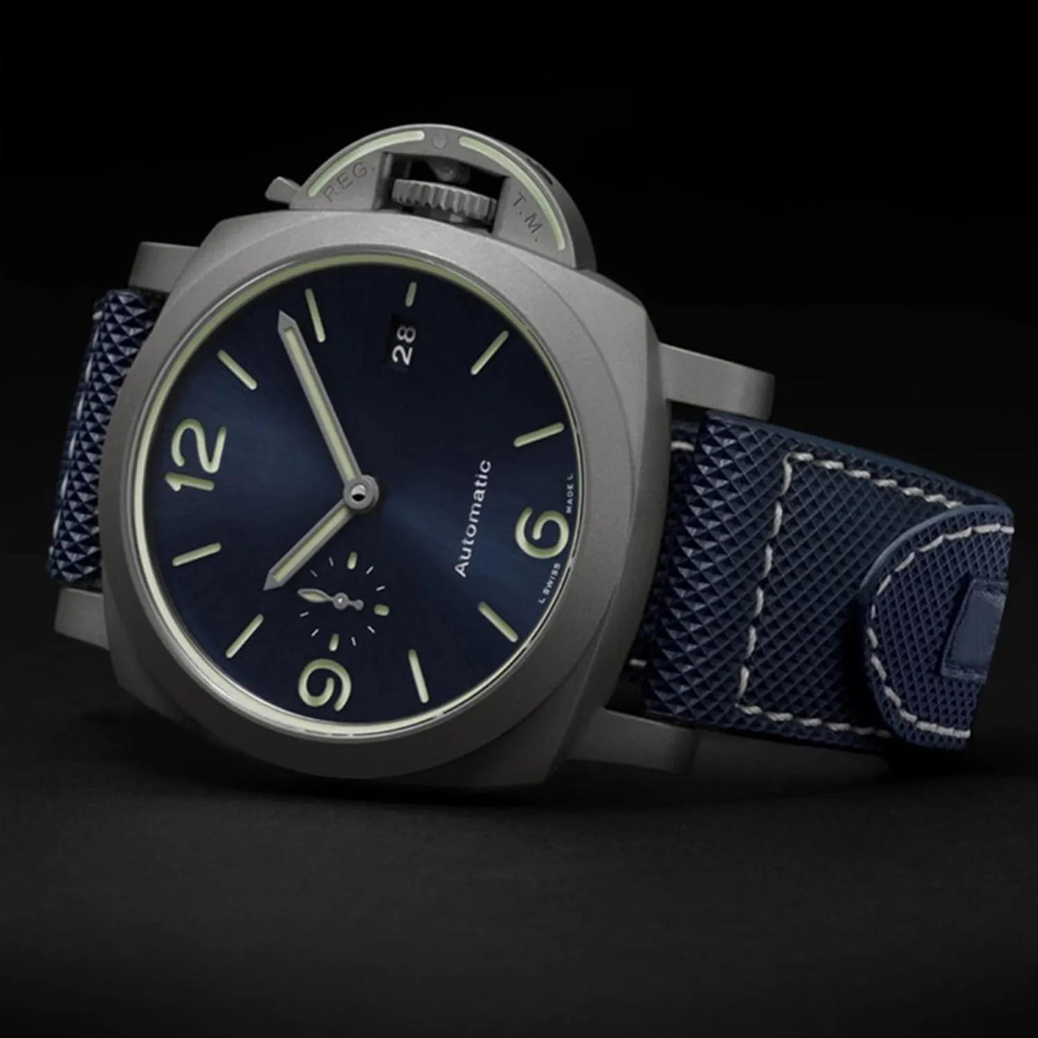 Carbon Fiber Check Nylon Canvas Strap for Panerai Lumino PAM01118 01661 Waterproof Watchband Bracelet 24mm Black Blue (Color : Army Green-Silver, Size : Black Black Clasp)