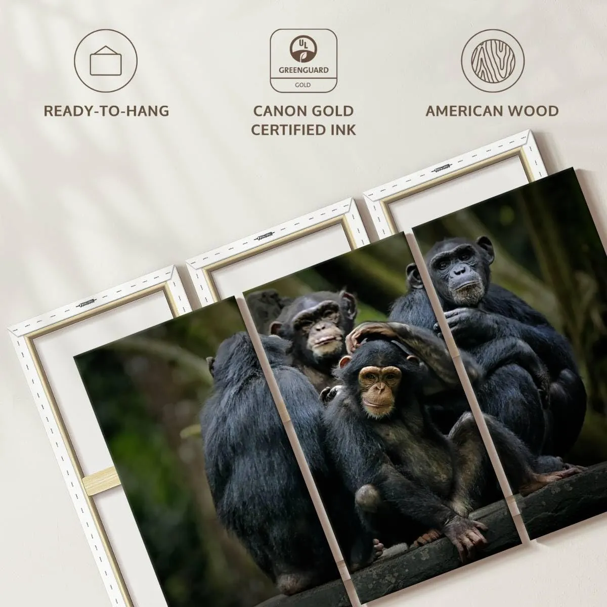 ElephantStock - Chimps And Bonobos Wall Art - Horizontal Multi Panel Canvas - 3 Piece Living Room Wall Decor - Photography Animal Multi Piece Wall Art - Black And Green Decor - 38" x 24"
