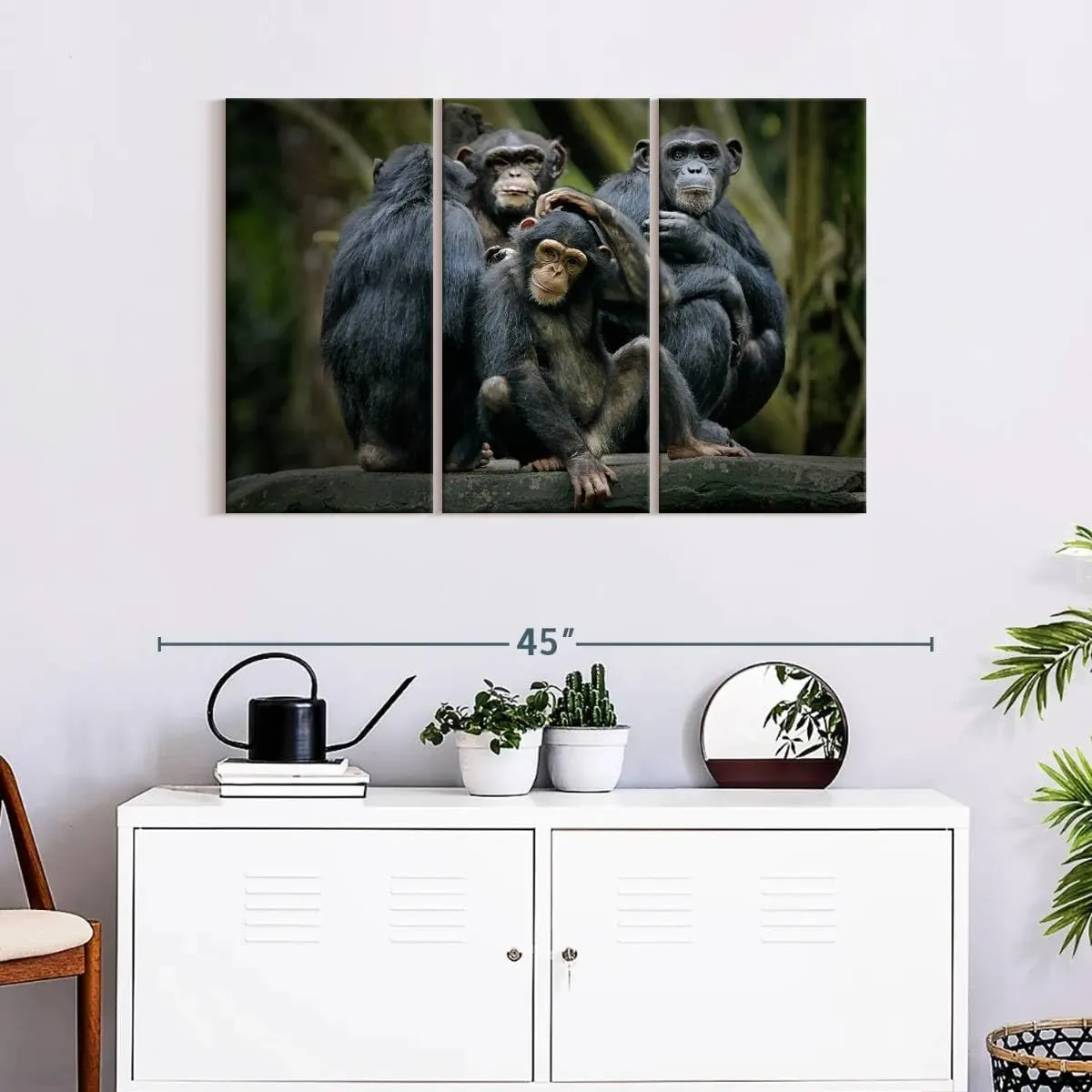 ElephantStock - Chimps And Bonobos Wall Art - Horizontal Multi Panel Canvas - 3 Piece Living Room Wall Decor - Photography Animal Multi Piece Wall Art - Black And Green Decor - 38" x 24"