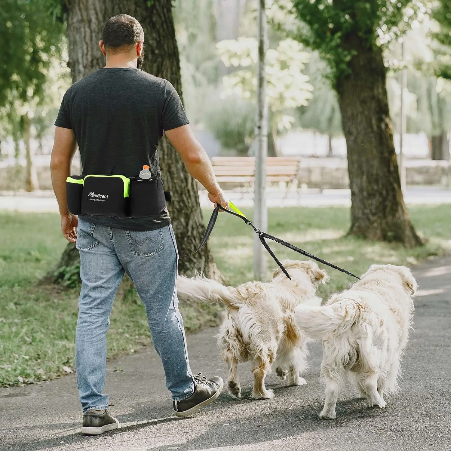 Hands Free Double Dog Leash - Wide Padded Waist Leash with Reflective Stitching for Walks, Jogging, Running, Hiking, and Training