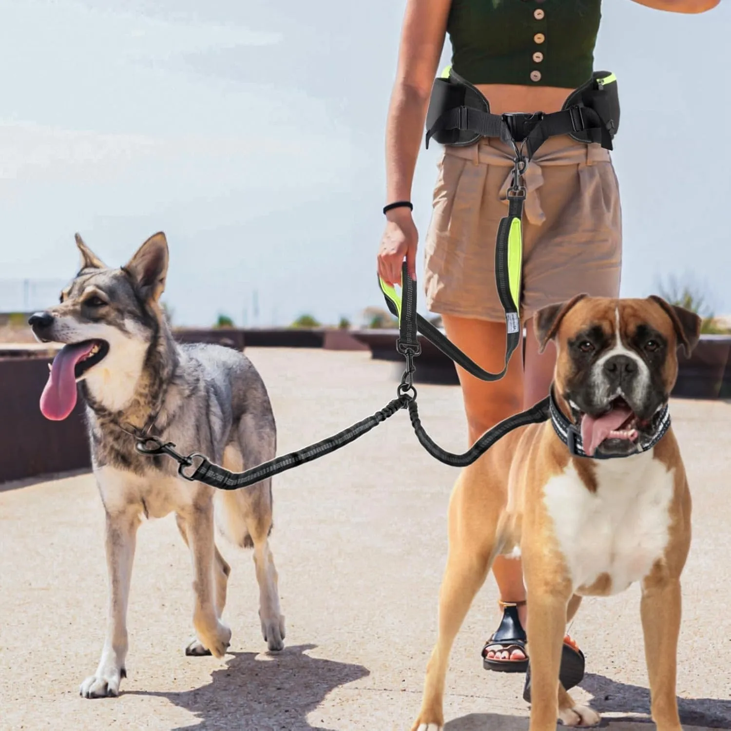 Hands Free Double Dog Leash - Wide Padded Waist Leash with Reflective Stitching for Walks, Jogging, Running, Hiking, and Training