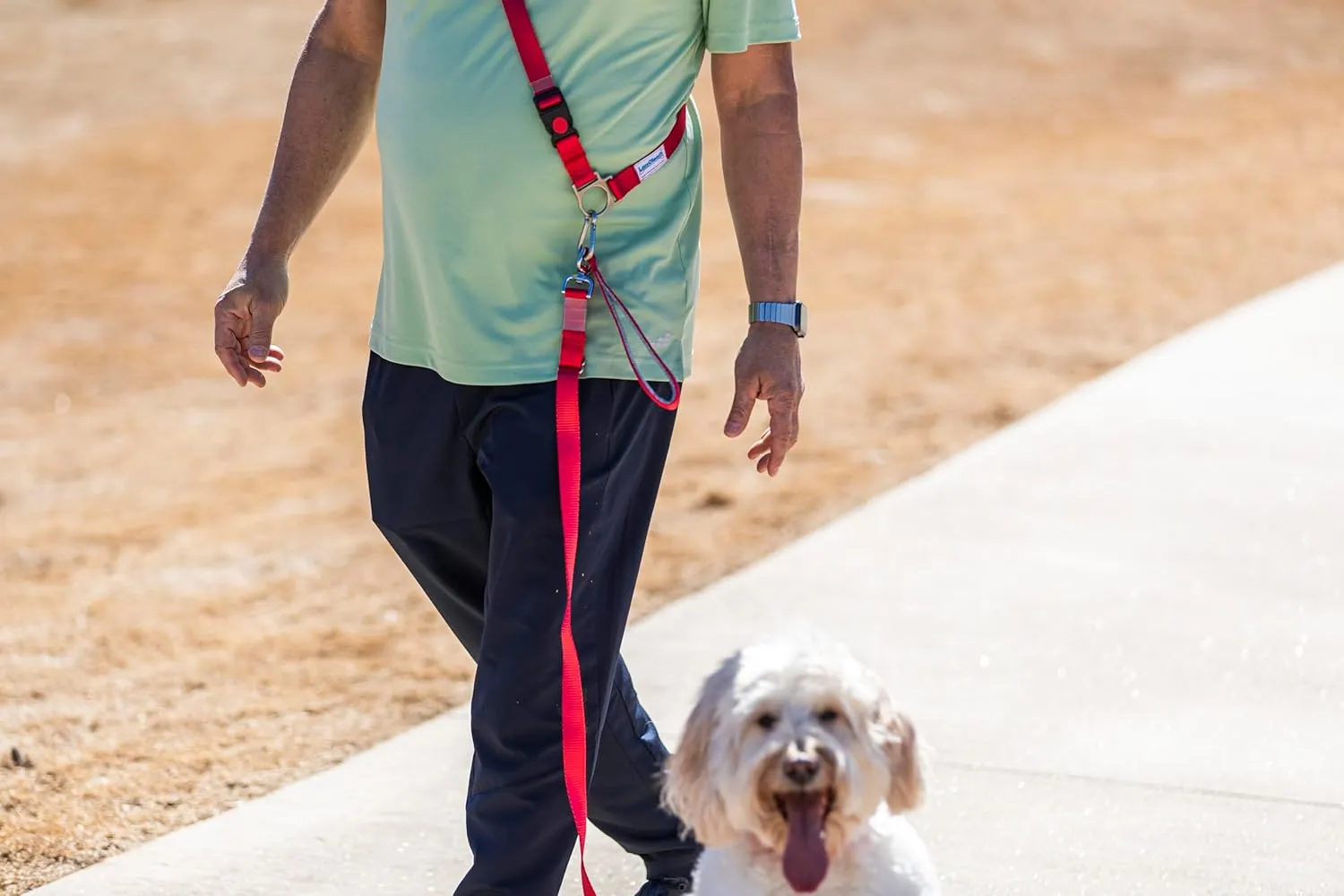Hands-Free Lead Waist and Cross-Body for Walking, Running and Hiking, Fully Adjustable Designed for Lassoleash Leash/Collar (Turquoise) *LassOleash Sold Seperately.