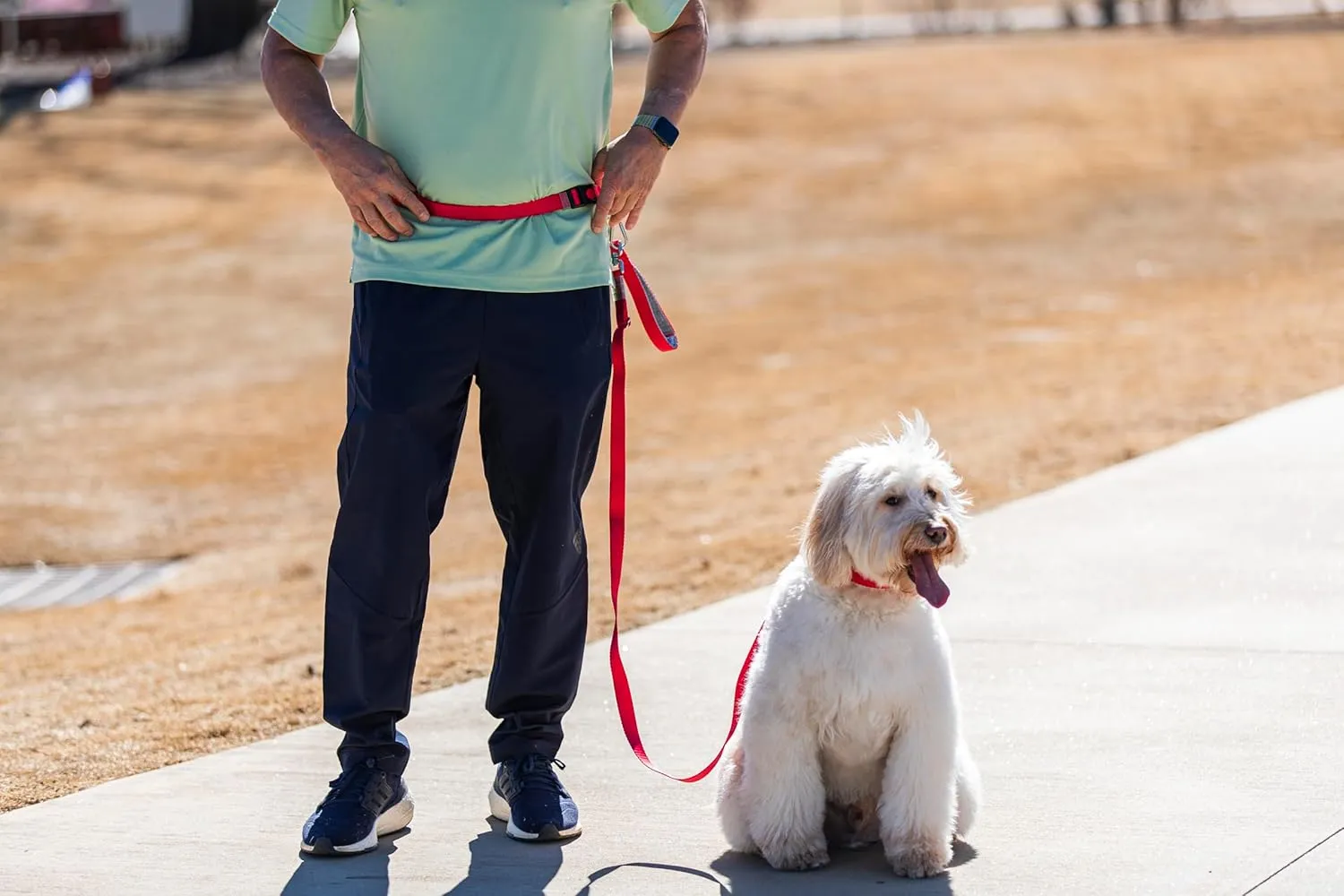 Hands-Free Lead Waist and Cross-Body for Walking, Running and Hiking, Fully Adjustable Designed for Lassoleash Leash/Collar (Turquoise) *LassOleash Sold Seperately.