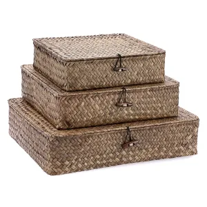 Hipiwe Flat Wicker Basket Bins with Lid - Set of 3 Handwoven Seagrass Storage Basket Shelf Baskets Boxes Multipurpose Home Organizer Bins Boxes for Shelf Pantry Closet,Large Size 14.8"x13" Coffee