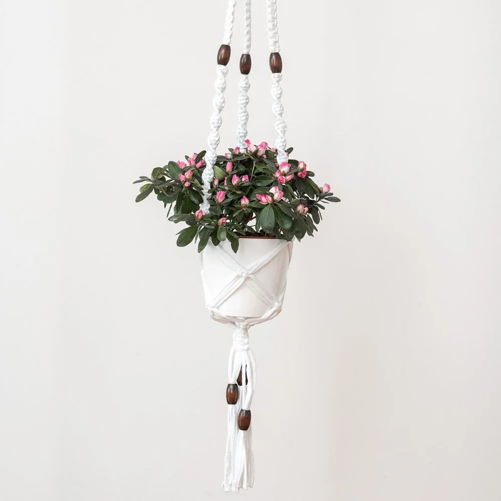 Hoooked Macramé Hanging Basket Kits