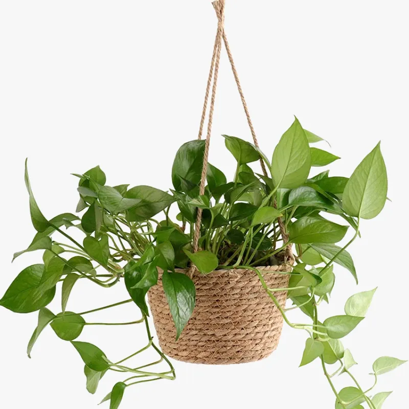 jardinière suspendue en macramé panier de rangement pour plantes d'intérieur extérieur