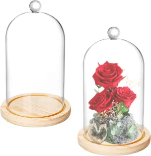 Lyellfe 2 Pack Glass Dome, 8'' x 5'' Glass Dome Cloche with Rustic Wooden Base, Bell Jar Display for Plants, Fairy Lights or Table Decor