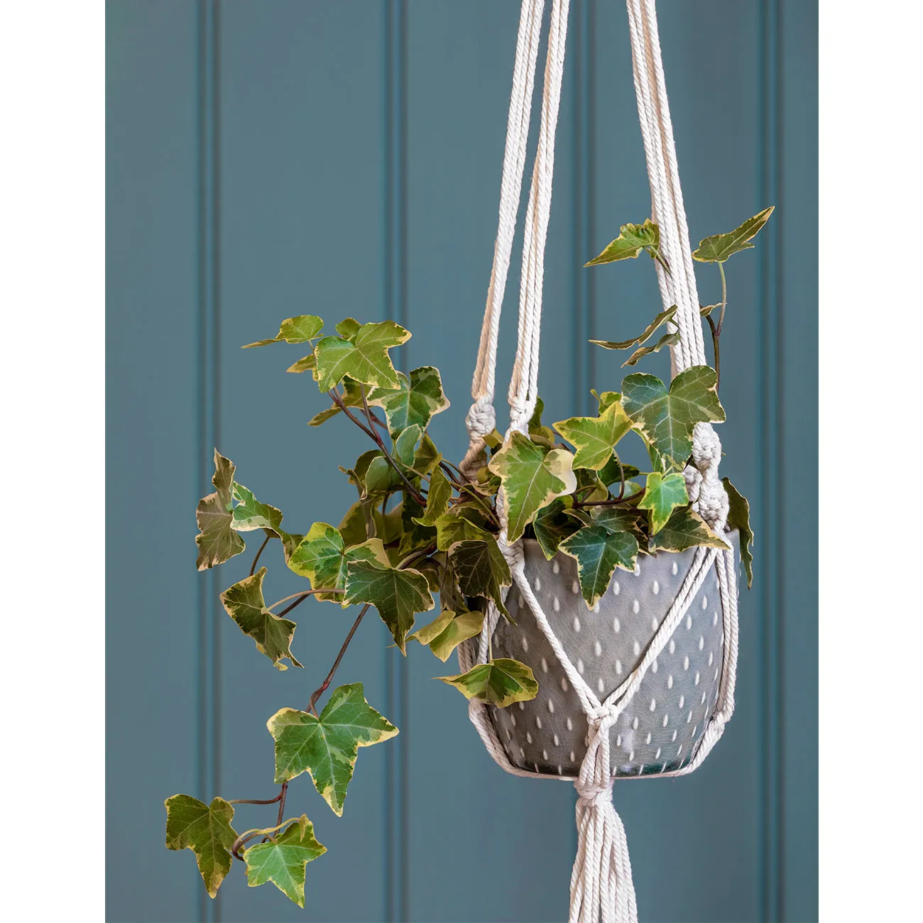 Macramé Hanging Pot