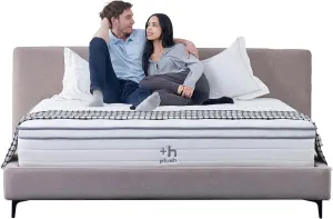 Plush Zen 12 Inch Queen Size Mattress - Firm Hybrid Spring Mattress in a Box with Motion Isolation & Multi-Zone Support, Perfect Cloud Comfort & Memory Foam