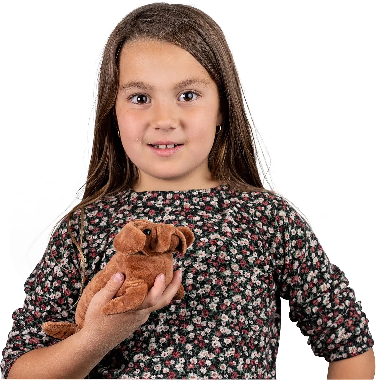 Randimals Randimini Collection Seadog - Sea Lion and Mastiff Plush Bean Filled Toy 6.5”, Soft & Huggable, Premium Quality Hybrid Animal Friend Encourages Adventure & Imagination
