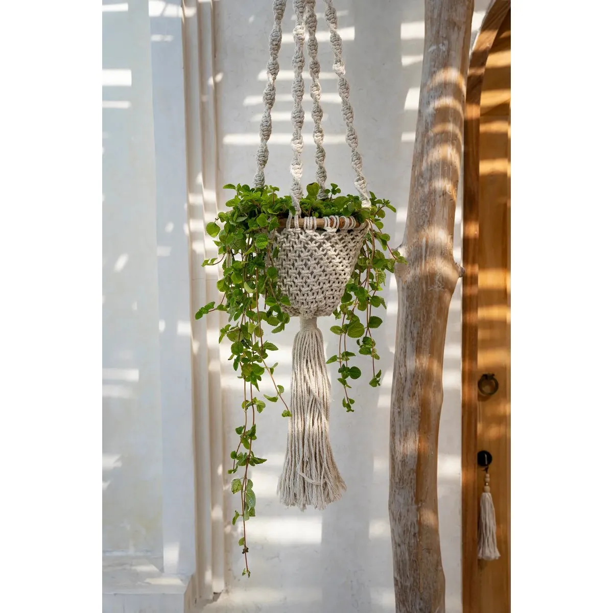 Rootz Twisted Macramé Plant Holder - Hanging Basket - Indoor Planter - Decorative Touch - 25cm x 135cm x 25cm