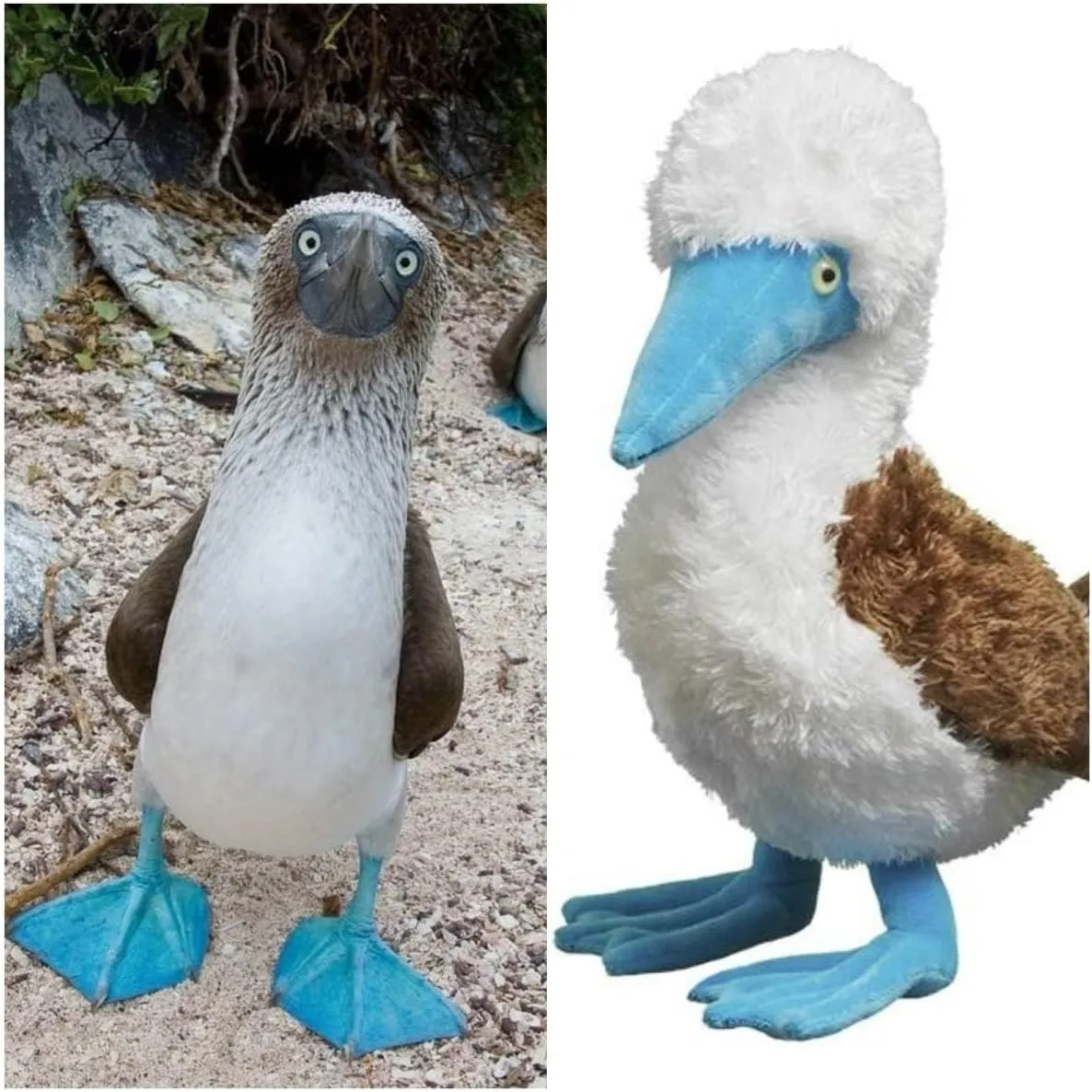 Tiny Heart Simulation Blue Footed Booby Plush Toy, 10.62inch Super Soft and Cute Blue Footed Booby Stuffed Animal Toys Fun Kids Gift Home Decor